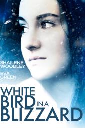 White Bird in a Blizzard poster